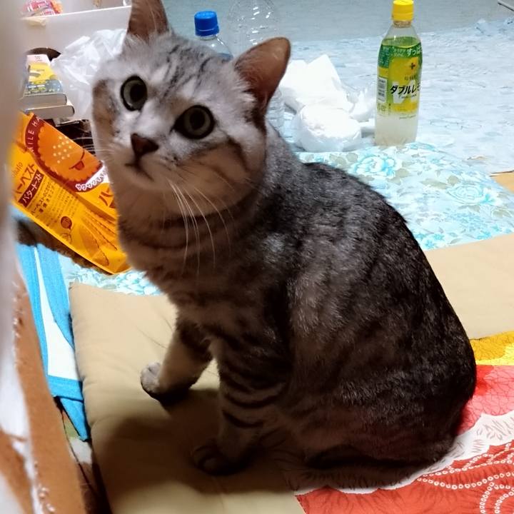 E6311ccc 3dd3 49b9 a09f 5616abf7043e 1685624244601