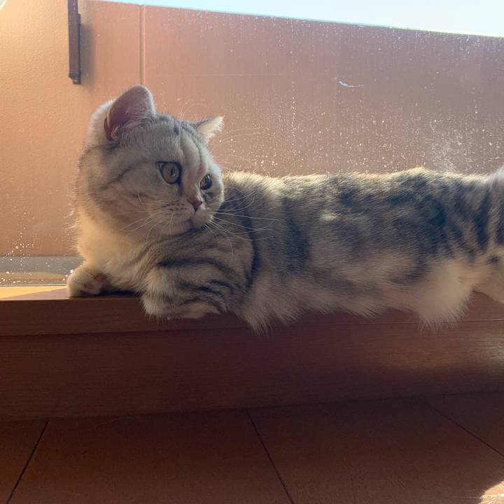 E6312772 2e29 433b 870e d7ced8058fb8 1706930066192