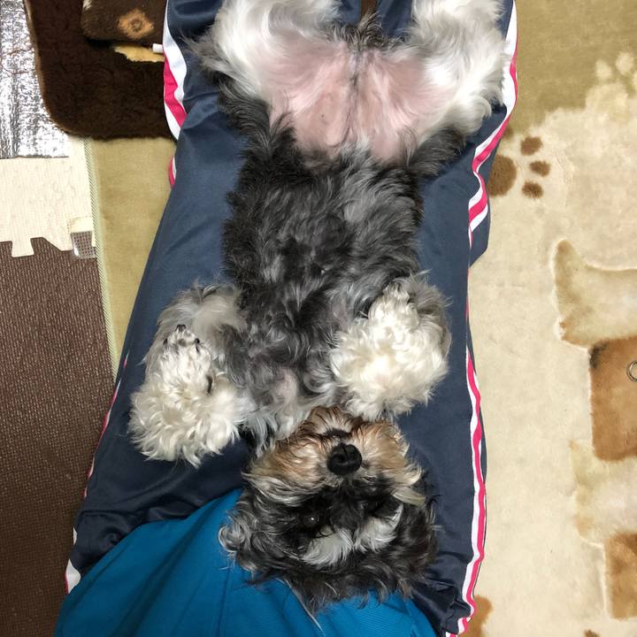 E631abb9 dba9 4eec 8e9a ea712fd46248 1559998533094