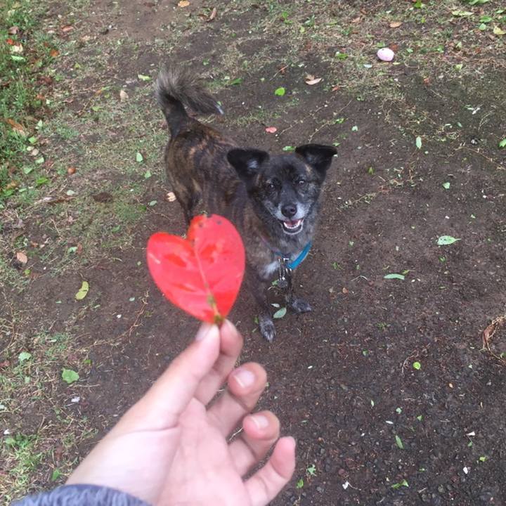 E631e393 2b39 41a0 9264 2ba3f9b9e583 1558267177597