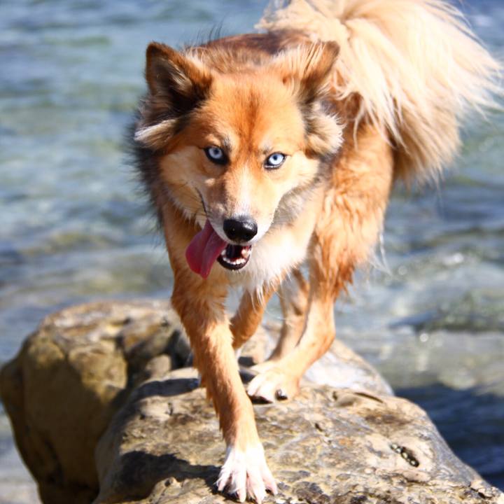 E631f865 d8ca 4717 9551 a5566ea48e97 1595777809939