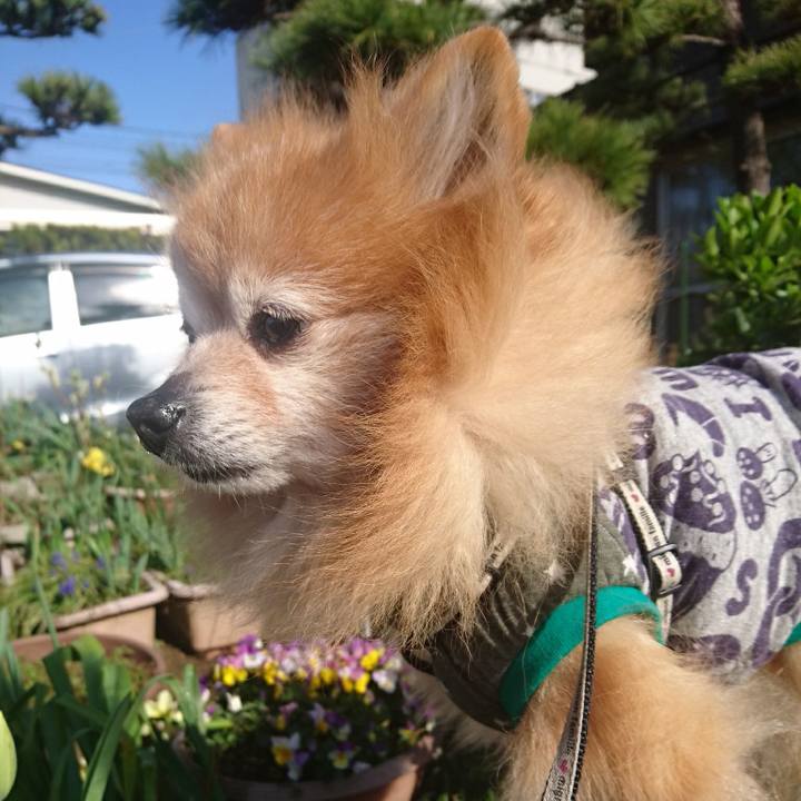 E632054c 0a94 43f7 a8bb caefde40baae 1524996223096