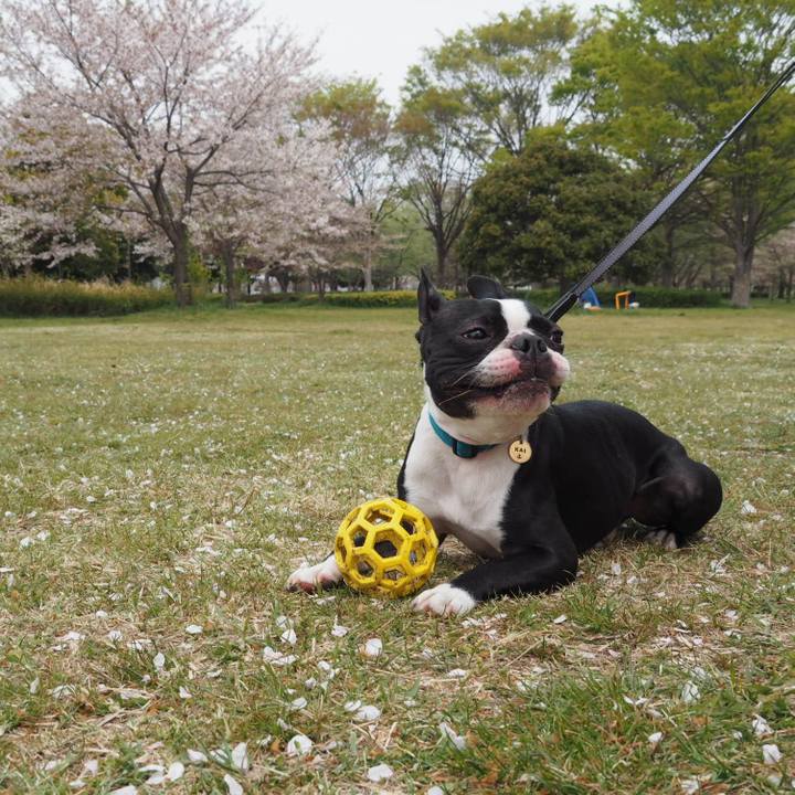 E63230f0 63fb 4b37 88dc cbf779ac2c39 1555302109712