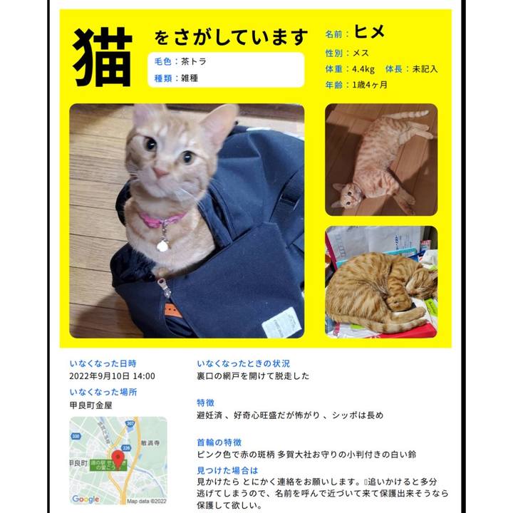 E63238b3 d636 4745 a07a da7099ff70b4 1664025035847