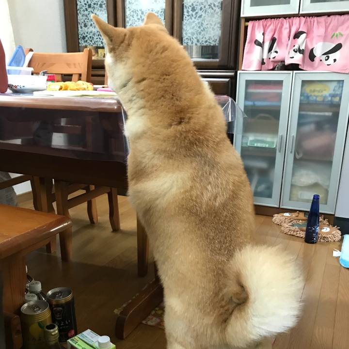 E6324116 5aeb 4792 97fb abe34dd88942 1533037589872