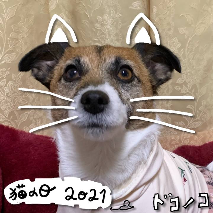 E6325397 fe2d 4794 9a7c cc20ff908415 1613964830218