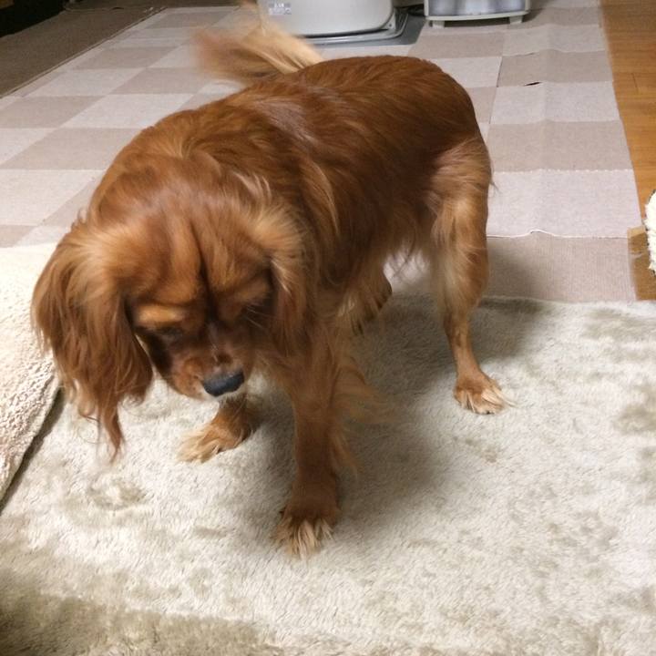 E6327934 9b18 4733 9c8d c348b10bc3da 1521064805824