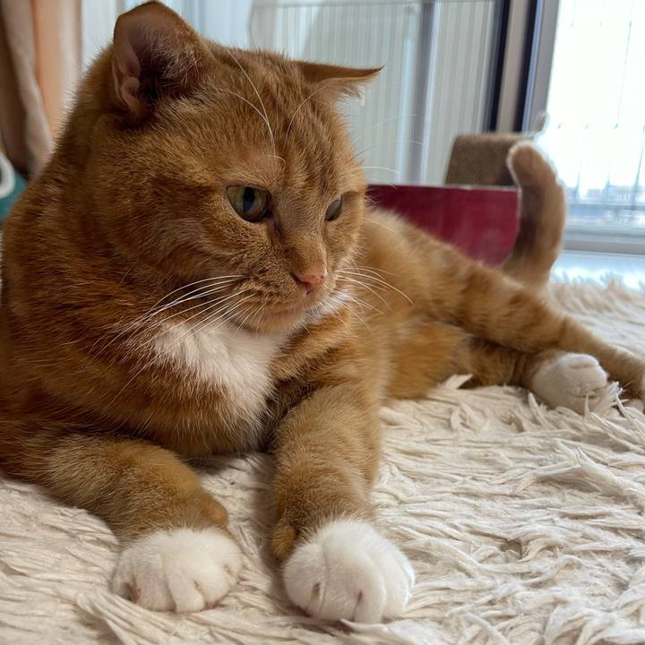 E63290b4 545c 46f3 b8f6 87d07f506ff9 1681544194189