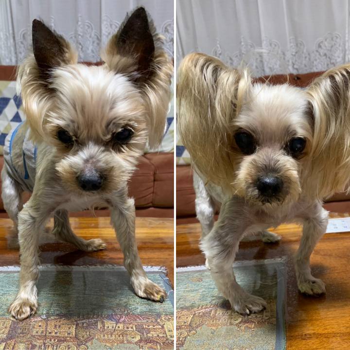 E632a923 69a3 4156 a7d3 ad21d02315d0 1692874333470