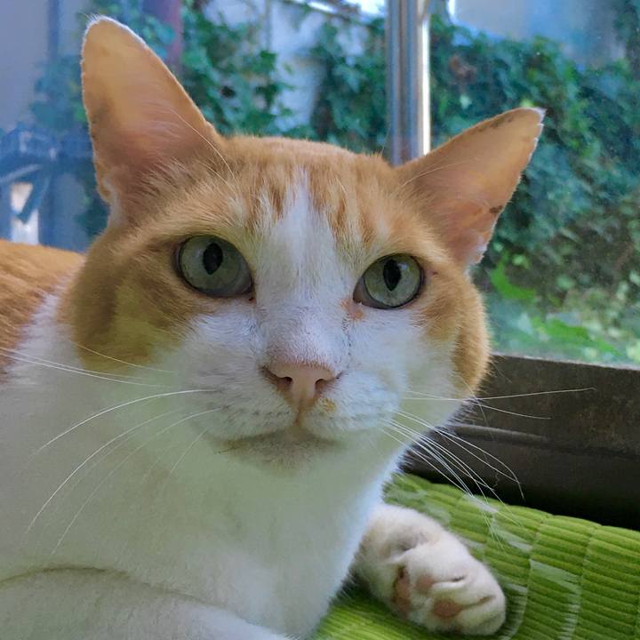 E632cb9c 6790 45e7 8e09 7f1f0633f6a9 1597049664071