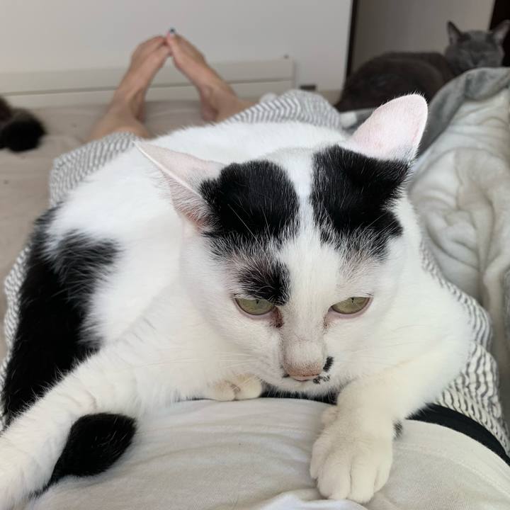 E632ccd3 93f1 4a5e b26c d521f49d1563 1725681913699