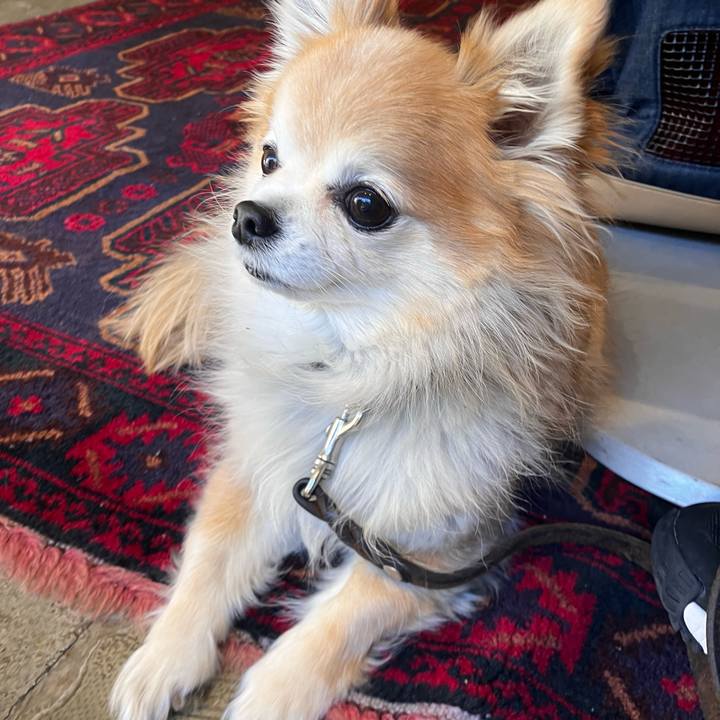 E632d750 abd6 4cde b61e 57a01eb5dea0 1771480632605