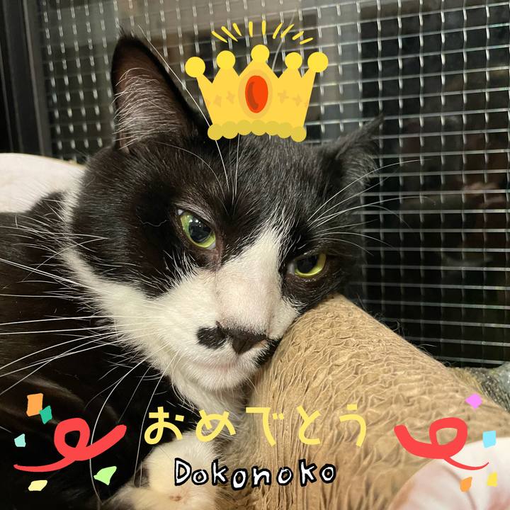 E632dace f3c5 42de b7b5 c5b9f556621b 1685938711238