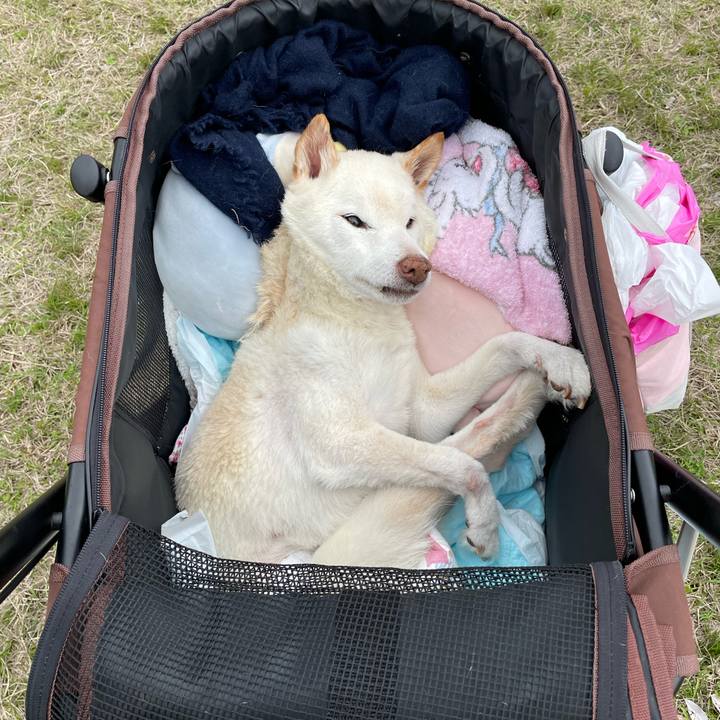 E632fbc5 5831 4ca6 96ba 0a9c69a6c8bd 1679478891561