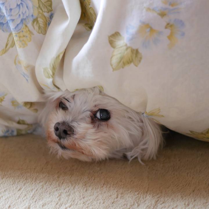 E63351c5 0a50 4b2a 8b35 664cc97a1df0 1660364390614