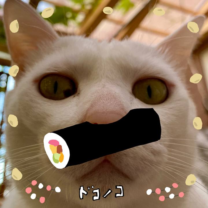 E6335d83 e1bb 4240 8233 7a1036987af1 1741108176758