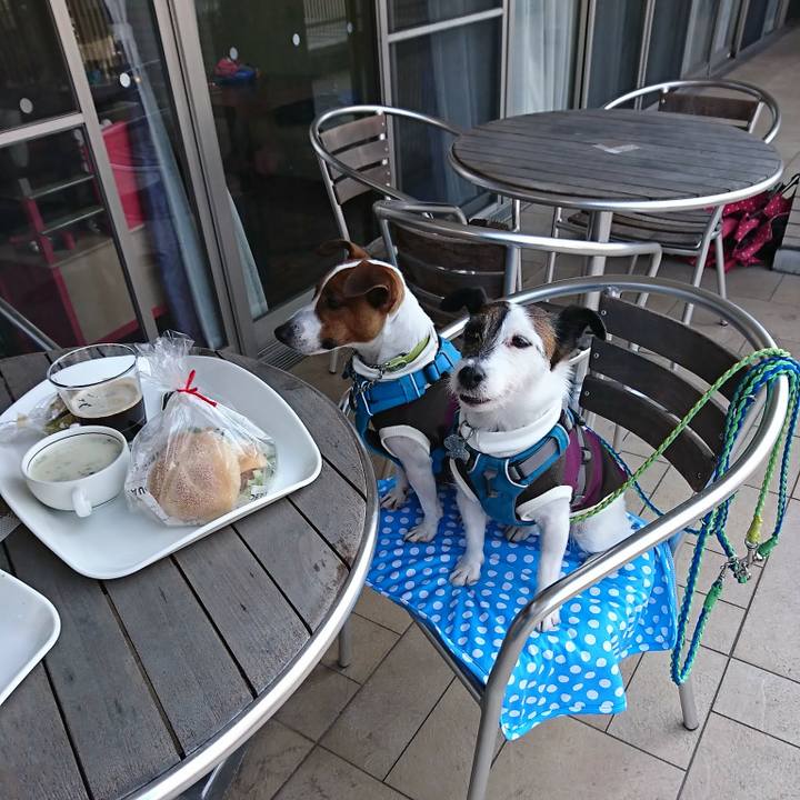 E63366b2 c9c5 4754 af5c 54a3ee0fbb1e 1585797919476