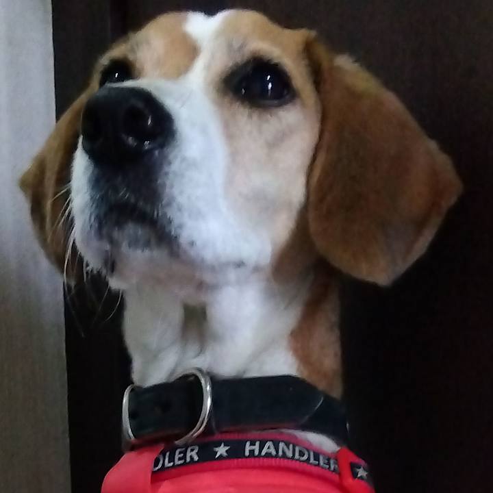 E6338b0a 82ab 4692 84c5 d0579d733570 1700920974736