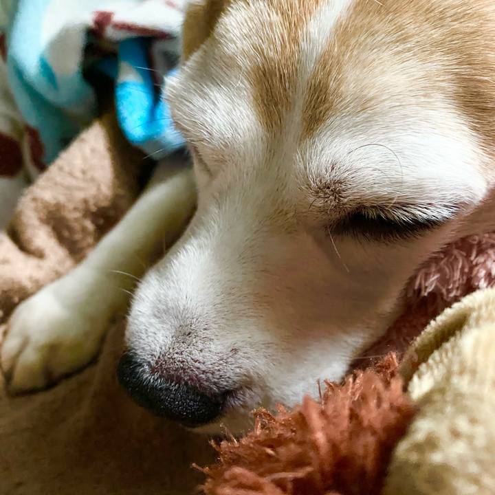 E633a3a2 53aa 48a9 92b3 1c7aaa8d0177 1603080000631