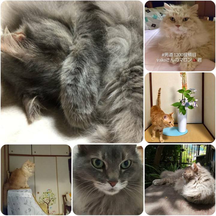 E633a41f 5c86 4a75 b523 5ef87d7e4ed5 1560516242612