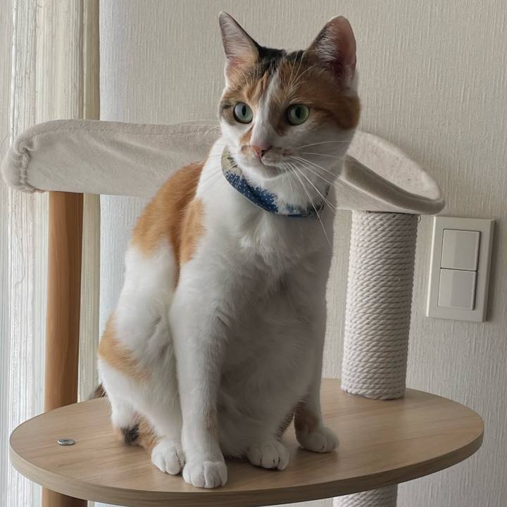 E633ab01 7412 4def b048 9e17bd6143d1 1722398338319