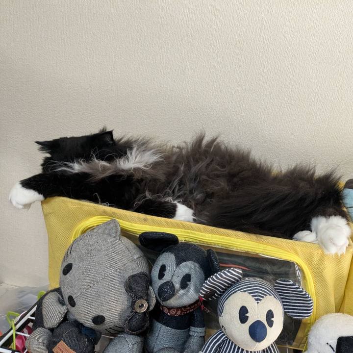 E633d36f 725b 433f 809c 3a05f8afc988 1734838000782