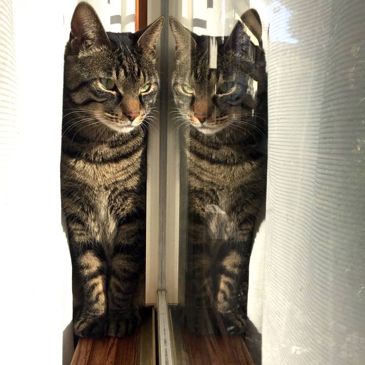 E633d52a 894f 4596 b215 05e9ee88c369 1512865523877