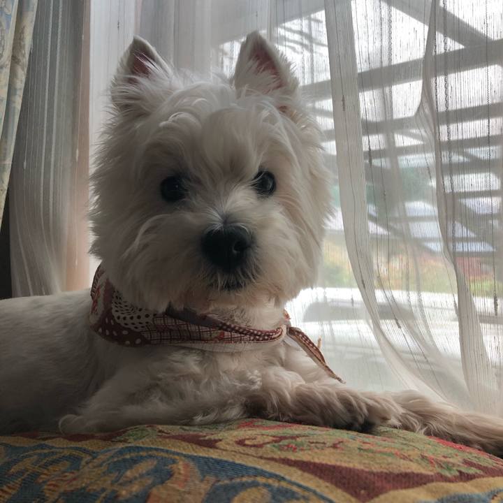 E6340f11 f7d1 428f 88ab bfcdb46991a1 1573828817088