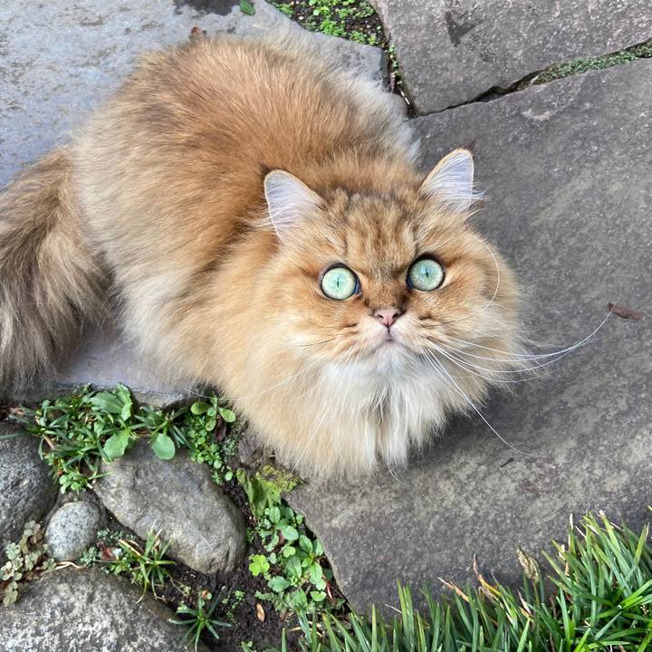 E634129d 311d 4224 9eec 1321e5b518c1 1629521583884