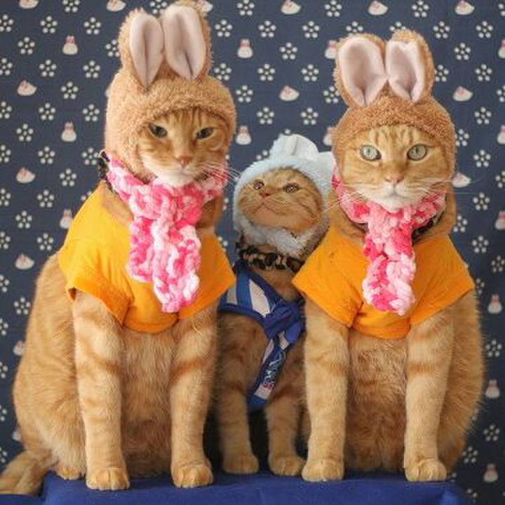 E6344782 bffd 453a 96b1 c4643fa75957 1544409727827