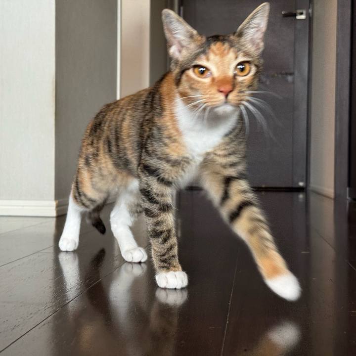 E6345e5b bc1b 4a52 8363 8ef0a5bfc510 1774055612965