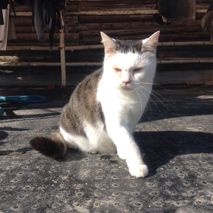 E6346af9 9deb 4627 8f33 f0f565d03a38 1546005023293