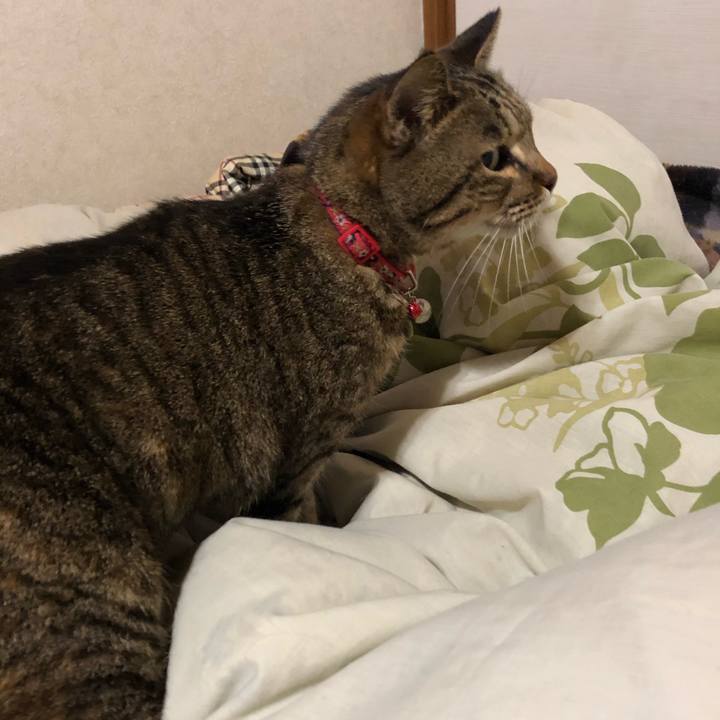 E6346cfd 11f1 442d a0c6 552ac15e6ff3 1610500527432