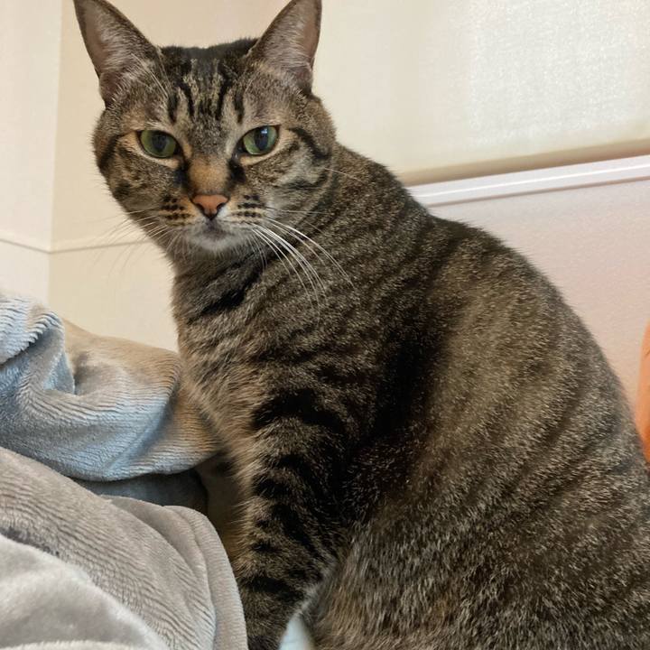 E634957d aa66 4d16 bbb0 ba6e3d2227da 1637041941026