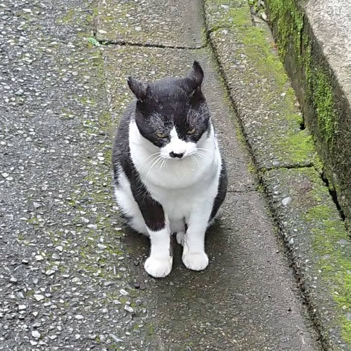 E6349afe d125 4145 a530 6e5e62039df1 1696461618799