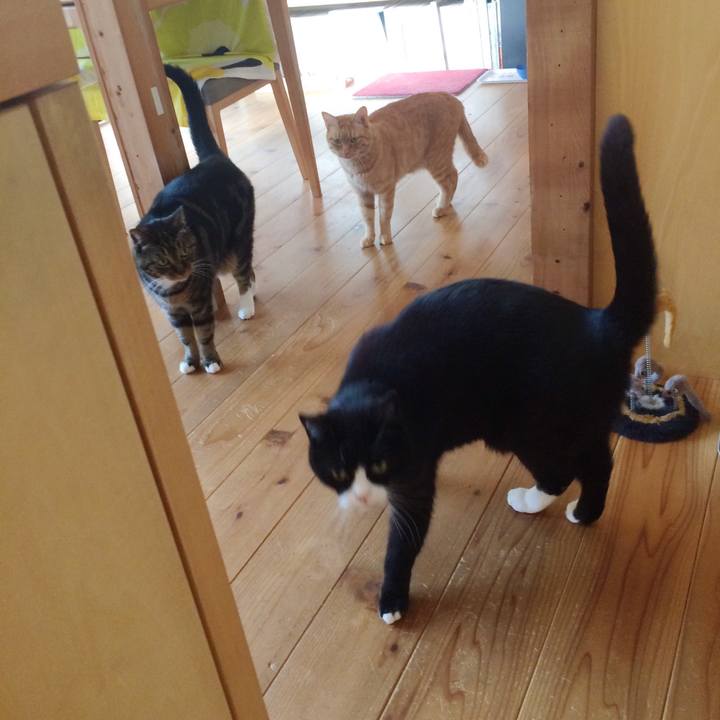 E634ac96 6b18 440c 8447 1b5ca948baa5 1518738344401