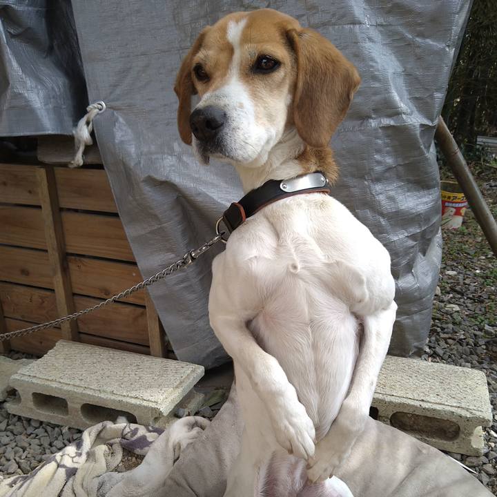 E634b2a7 ed87 4de7 a14a 1267f63f7e03 1645771100206