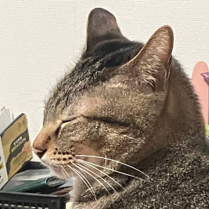 E634f3bf 066c 4788 8048 aa1c44d54f51 1764282300161