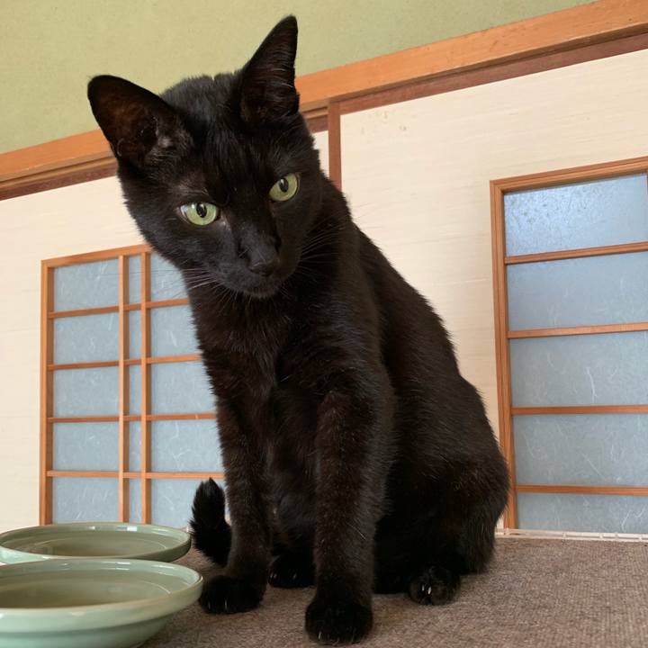 E63504db 2d62 4c79 ab69 06760736a003 1560990590334