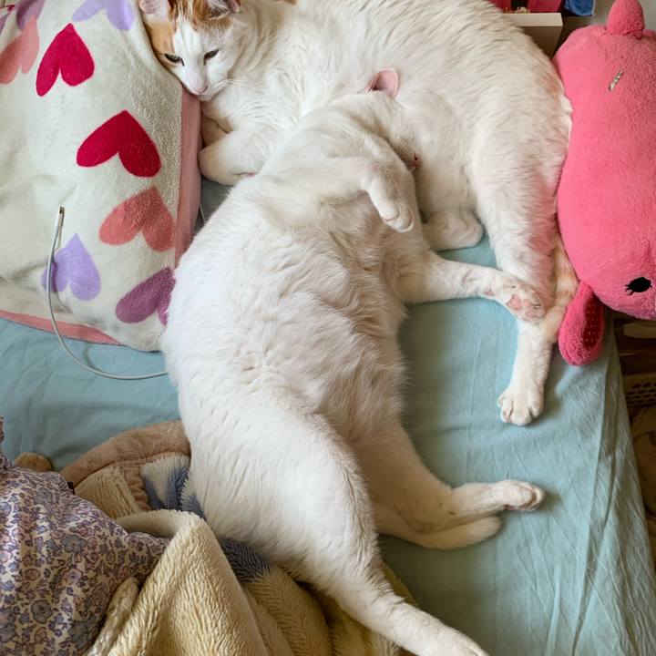 E6350c3d 8cab 4638 9dd4 29a1c9963aa6 1622460908451