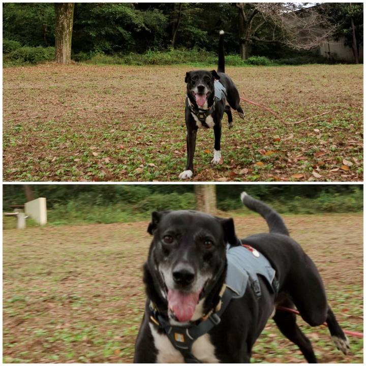 E6351321 26f9 4c8f b992 f94920ea288a 1729992242823