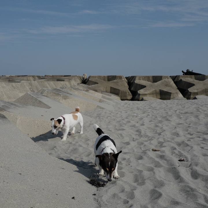 E6353c74 2def 4d7a b8a9 371a546c8b0d 1559622160319