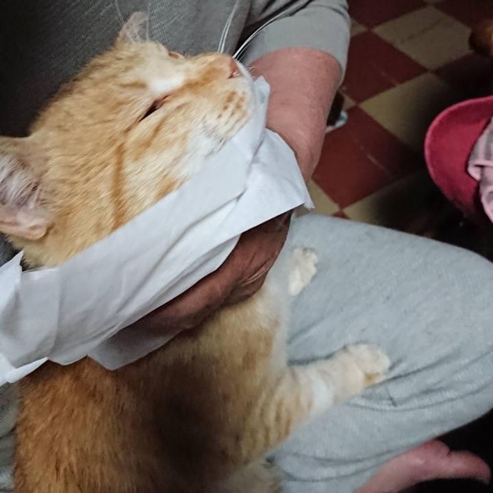 E6355094 1767 4244 98a3 5dbe9b82e08e 1590352046217