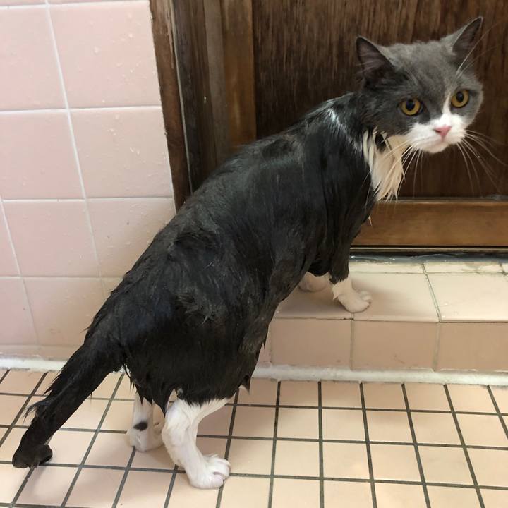 E63569c9 86de 4bc0 8eb5 c487472a6fdd 1569202133522