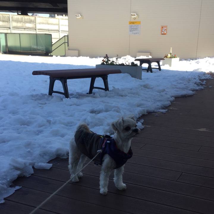 E635a7e6 7965 49dd 9be5 126d47799858 1517228413710