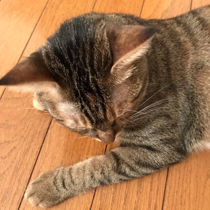 E635d048 93bc 4b98 bb5b c2d0e6b029ef 1597711552323