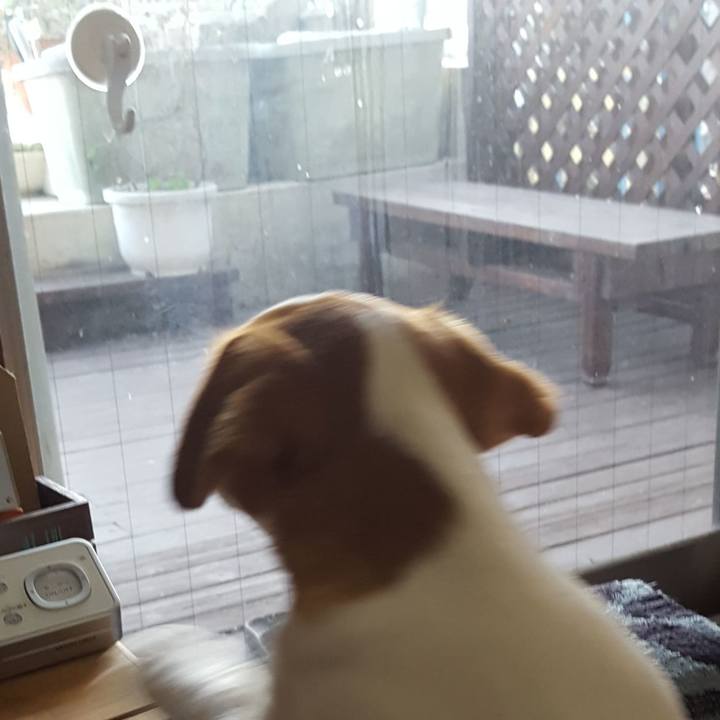 E635efc0 29ea 45ca 809b 062ae531f512 1550133124402