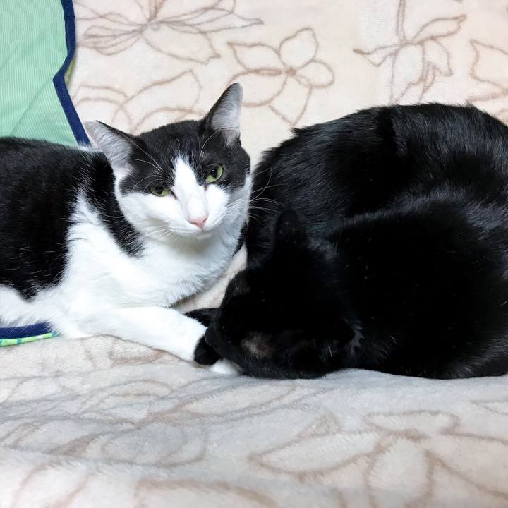 E6360a05 c8c1 4134 9f33 35c8a159cec4 1525830388115