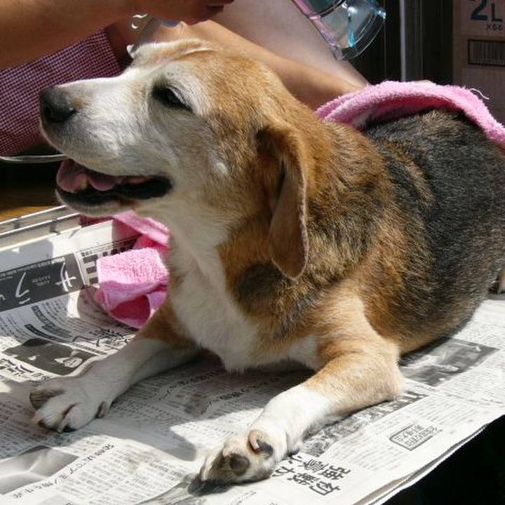 E6361dfd 006c 4d75 ab89 02121abe9675 1647045523405