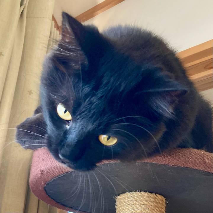 E636202e 9200 4843 be0b 1d7bccbcc8b2 1721900248155